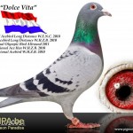 de_dolce_vita_pieter_veenstra