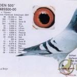 debel0005