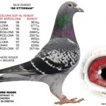 debud9NL02-2049323