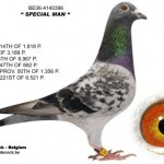 decock81
