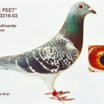 diels_de_peet