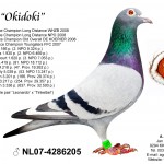 e3c90d4b-d35c-4614-a6eb-3ea8a9ec2642