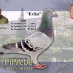erika_jpg