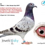 fiica Gilbert