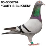 gabysbliksem