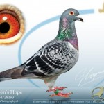 gerardermerveens_hope_nl-2000-4728193