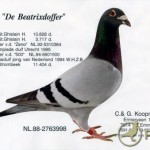 koopman102