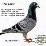 koopman108