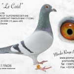 le-caid
