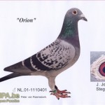 nl01-1110401_orion_jellema