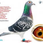 nl11-1722533_0