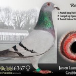 nl13-1446367_robin_pasch_jan_van_de