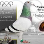 nl13-1446397_olympic_sanne_pasch_jan_van_de_bewerkt