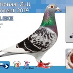 nl17-1262043_willeke_fortuin-ad