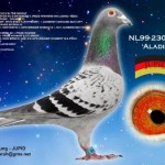 nl98-2308215_aladin_jung