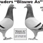 ouder Blauwe AS