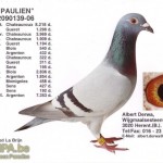 paulien_0