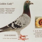 picgoldenlady