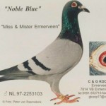 picnobleblue