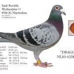 sjaak6