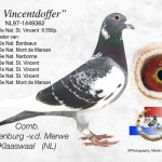 st-vincentdoffer