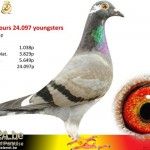 steveninck_benny_foto_fantasia_be14-4059884