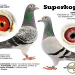 steveparents_of_Chipo