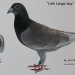 v.d.Zijde_006