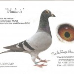 valdimir-be02-3025849