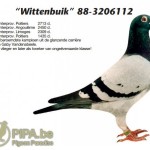 vandenabeele_foto_wittenbuik
