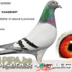 vandewouwer_be98-6335690_kaasboer